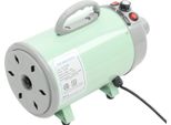 Asciugacapelli Per Cani E Gatti, 2200 W, Velocità Della Ventola Regolabile, 4 Ugelli, Oro