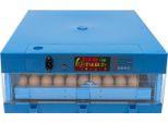Incubatrice Per Uova, 64 Uova, Rotazione Automatica Delle Uova E Controllo Dell'umidità, Per Pollo/Quaglia/Anatra, Blu