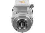 Motore Asincrono Trifase - Motore Elettrico Industriale - 750 W (0,75 Kw) - Albero Da 19 Mm - Funzionamento Continuo S1 - Argento