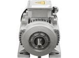 Motore Asincrono Trifase - Motore Elettrico MS90L-4 - Potenza 1,5 Kw - Tensione 380 V 50 Hz - Velocità 1405 Giri/Min - Albero 19 Mm - Avvolgimento In Rame Puro - Argento