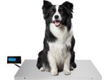 Bilancia Veterinaria Per Animali Di Grossa Taglia, Bilancia Digitale A Piattaforma, Portata 300 Kg, Acciaio Inox, Kg/Lb/Oz, Tara, Display Lcd