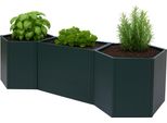 Set Di 3 Letti Rialzati HWC-P64, Letto Rialzato In Metallo Per Ortaggi/Piantine Fioriera In Acciaio 77X286X88Cm ~ Verde