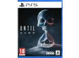 PlayStation 5 Videospiel Sony Until Dawn
