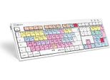Logickeyboard LKB-PT-CWMU-FR - Dimensione Piena (100%) - Cablata - Usb - Interruttore Meccanico - Azerty - Multicolore