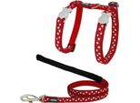Pettorina Per Gatti Red Dingo Style Red Star White Strap