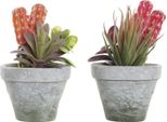 Pianta Decorativa Dkd Home Decor Rosso Grigio Arancione Eva Pe (16 X 12,5 X 19,5 Cm) (2 Pezzi)