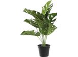 Pianta Decorativa Dkd Home Decor Monstera Verde Pp Pe (48 X 42 X 51 Cm)