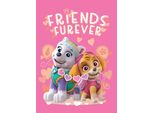 Coperta Per Bambini Paw Patrol Skye E Everest