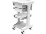 Carrello Per Parrucchieri - Carrello Portaoggetti Mobile - 3 Livelli - 2 Cassetti - Abs Resistente All'usura - Portata 50 Kg - 41×41×67 Cm - Maniglie Incassate - Grigio/Bianco