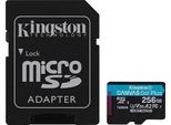 Kingston SDCG4/256GB Scheda Microsd 256GB Sdxc Canvas Go Plus Al Dettaglio