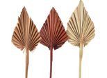 Palmspear Marocco Mix – 30 Pezzi Foglie Di Palma Decorative Per Decorazioni Funebri, Decorazioni Da Tavola, Natura, Arancione, Rosso, 30 Pezzi