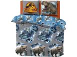 Jurassic World - Biancheria Da Letto Reversibile "Dominion"" TC158 (Letto Singolo) (Grigio/Blu/Nero/Oro)"