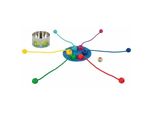 Goki Mini Gioco In Scatola Cattura La Rana
