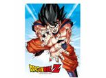 Sd Toys - Plakat Szklany Dragon Ball Z Goku Kame - Oficjalny Produkt