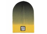 Difuzed - Czapka Beanie Pikachu Z Pokemon, Oficjalny Akcesorium Premium