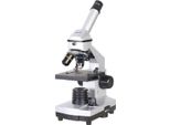 Set Di Microscopi Biometrici Per Principianti 40X-1024X