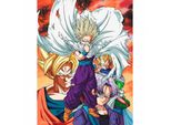 Sd Toys - Premium Plakat Szklany Dragon Ball Z Heroes Vs Cell Akcesorium