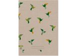 PapíRny Brno - Quaderno Scolastico Ecology 425 - A4, 20 Fogli, Quadrato - 20 Pz