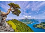 Puzzle Castorland Lago Di Uri Svizzera - 1000 Pezzi