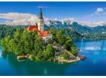 Puzzle 500 Bled, Slovenia Castor