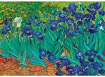 Puzzle 1000 Irysy, Vincent Van Gogh
