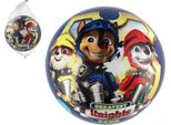 Palla Paw Patrol 23 Cm Blu
