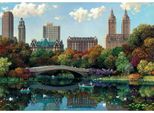 Puzzle Ravensburger Central Park Di New York 1000 Pezzi