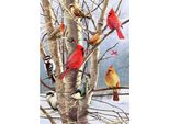 Cobble Hill Puzzle Uccelli D'inverno - Puzzle Da 1000 Pezzi Divertenti