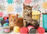 Cobble Hill Puzzle Balls Of Fluff - 1000 Teile Puzzle Spaß