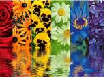 Ravensburger 12000213, 500 Pezzi, Piante, 10 Anni/Anno