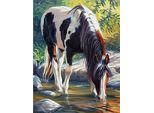 Norimpex Diamante Dipinto Cavallo Nel Fiume 30X40Cm