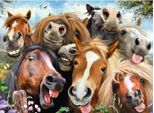 Ravensburger Puzzle Con Me 500 Pezzi