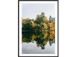 Immagine, Poster In Cornice 53X73 Cm Forest P2012
