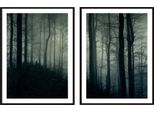 Poster Di Pittura In Cornice, 53 X 73 Cm, Dittico, Set Di 2, Foresta Scura, P2089