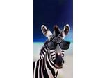 Telo Mare 70X140 Zebra Con Occhiali