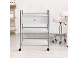 Carrello Di Stoccaggio, Carrello Di Trasporto, Versatile - Scatola Con Chiusura Morbida E Ruote Bloccabili. Colore: Bianco