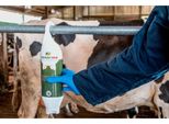 Gel Menta Ghiaccio Pro In Posizione Verticale E Con Flacone Appendibile