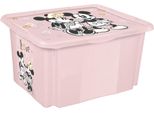 Keeeper 1223958124700 Keeeper Box Karolina "Minnie"", 45 Litri"