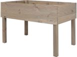 Letto Rialzato Siena Garden Maxi Pino Grigio