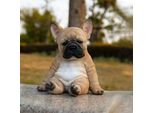 Statua Di Bulldog, Ornamento In Resina, Statuetta Di Cane In Resina