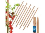 Kotarbau® 10R Set Di Paletti Per Pomodori Paletti Per Piante 40 Cm Paletto Di Legno Per Recinzione Paletto Di Legno Affilato Supporto Per Piante Paletto Di Legno Ausilio Per Arrampicata Paletti Di Legno Per Stabilizzazione Supporti Per Piante