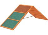 Ponte Di Agilità Per Cani Attrezzatura Di Agilità Per Cani Con Ponte Pieghevole, Superficie Antiscivolo Regolabile In Altezza Attrezzatura Di Agilità Per Giardino, 173 X 59 X 66 Cm, Arancio
