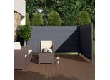 Ok-Living Tenda Laterale , 600 X 160 Cm, Antracite