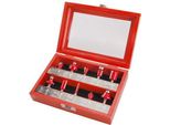 Extol Premium 44041 Set Di 10 Pezzi Di Frese Per Modanatura Per Legno