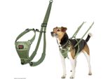 Pettorina Per Cani Compagnia Degli Animali Forest Verde 12