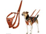 Hundegeschirr Compagnia Degli Animali Arancione 20