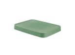 Curver Infinity Coperchio 4,5L 26,8X18,6X3 Cm Verde