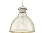 Lampada A Sospensione Industriale Vintage In Nichel Spazzolato Con 1 Sorgente Luminosa