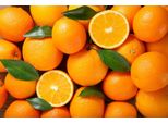 Arancio Esotico 100-120 Cm - Arancio Brasiliano (Citrus Sinensis) Per Casa | Arancio Brasiliano, Ideale Per Giardino E Balcone