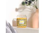 Candela Profumata Minions, Aroma Fruttato, 510 G